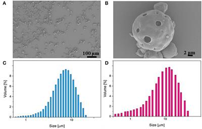 Non-invasive Production of Multi-Compartmental Biodegradable Polymer Microneedles for Controlled Intradermal Drug Release of Labile Molecules